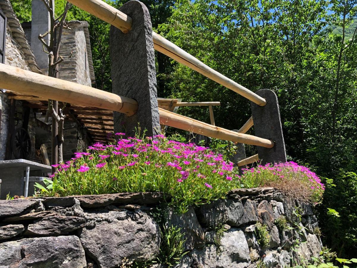 Cà Dal Bosc E Cà Sgrüscia Hébergement de vacances